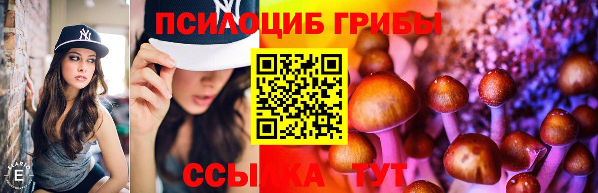 Псилоцибиновые грибы Psilocybe  Вход с VPN  Галлюциногенные грибы прущие грибы  Александров 